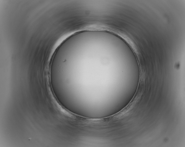 X0000090861486200708171555