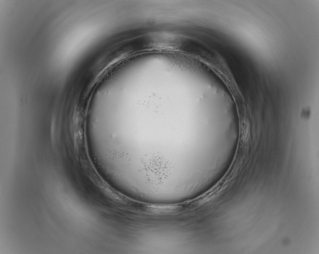 X0000090861487200708171555