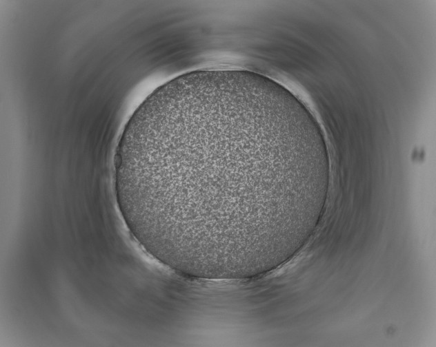 X0000090861488200708171555