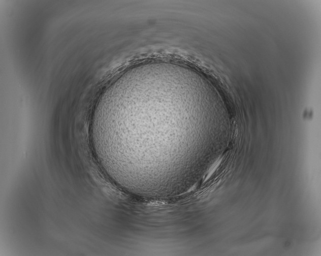 X0000090861489200708171554