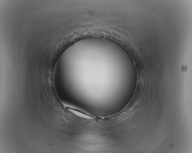 X0000090861490200708171555