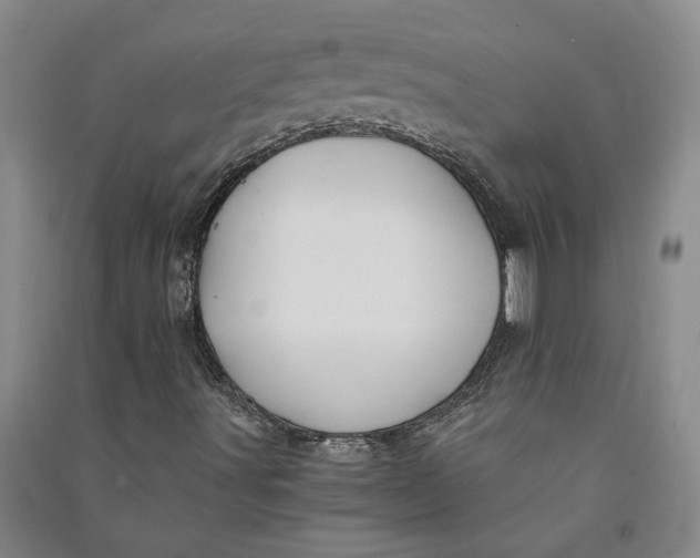X0000090861491200708171555