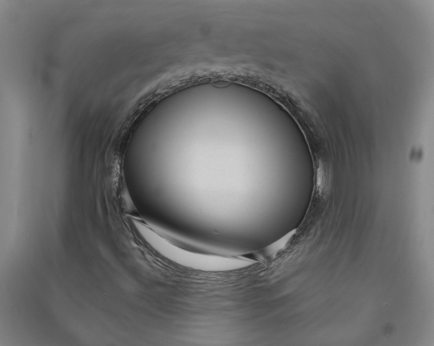 X0000090861492200708171555