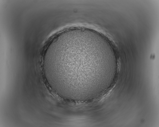 X0000090861494200708171555