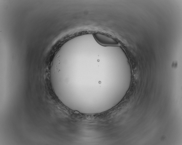X0000090861495200708171555