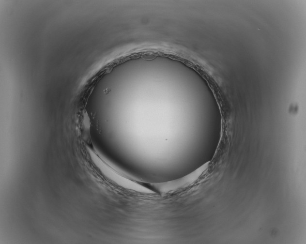 X0000090861496200708171555