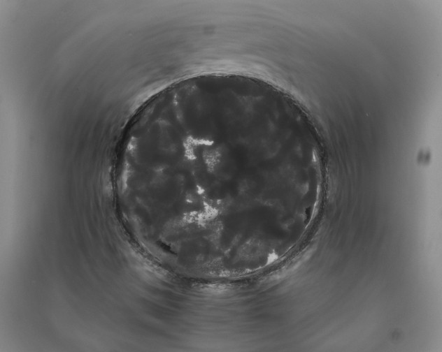 X0000090861497200708171555
