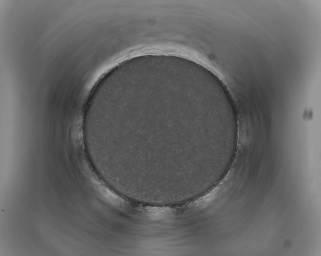 X0000090861498200708171555
