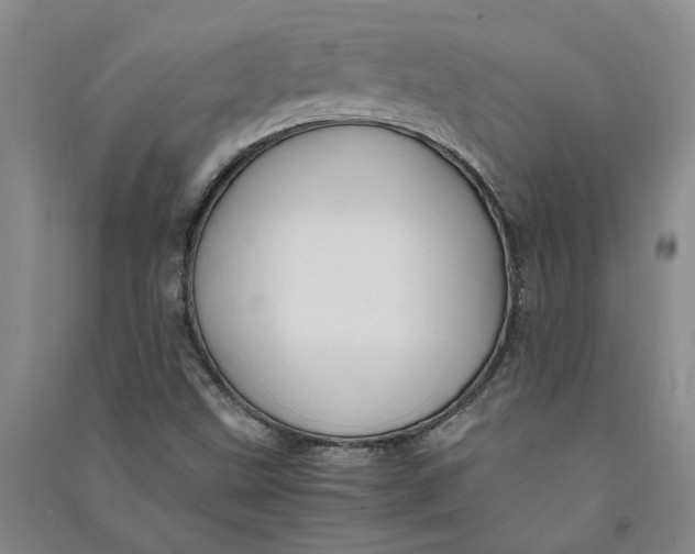 X0000090861499200708171555