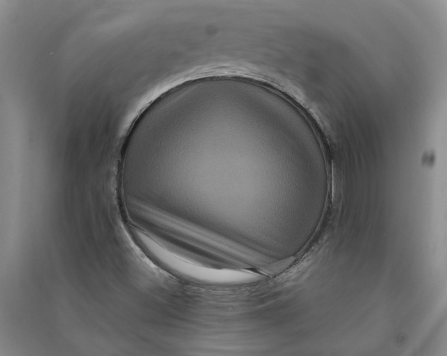 X0000090861500200708171555
