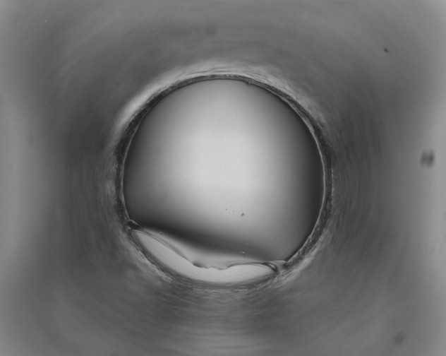 X0000090861502200708171555