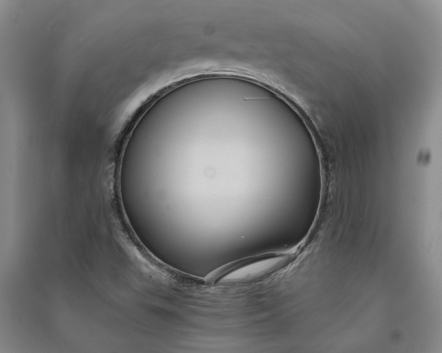 X0000090861503200708171555