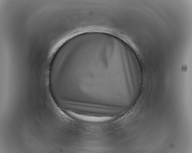 X0000090861504200708171555