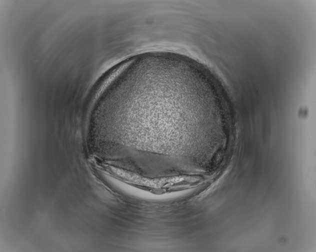 X0000090861505200708171555