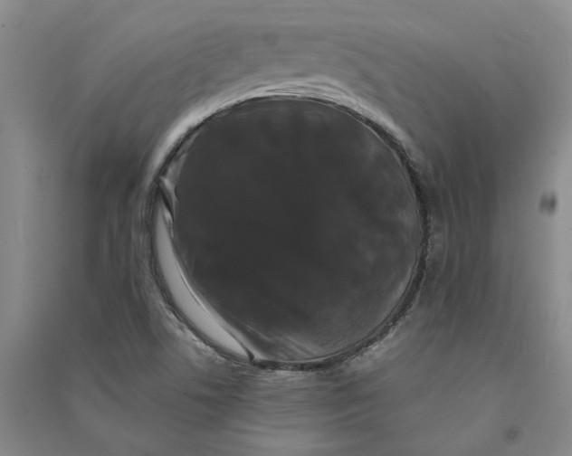 X0000090861506200708171555