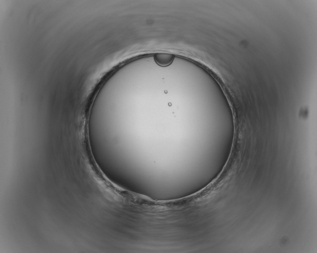 X0000090861507200708171555