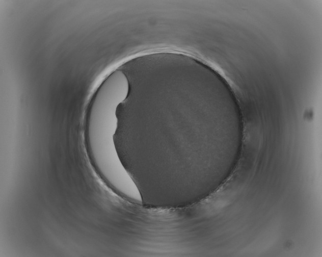 X0000090861508200708171555