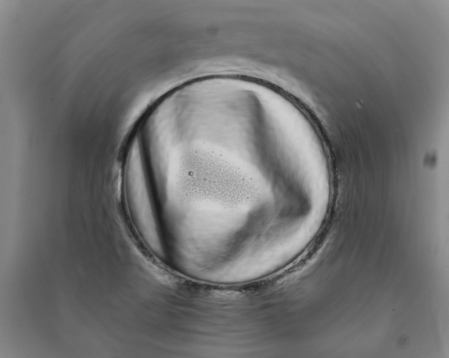 X0000090861509200708171555