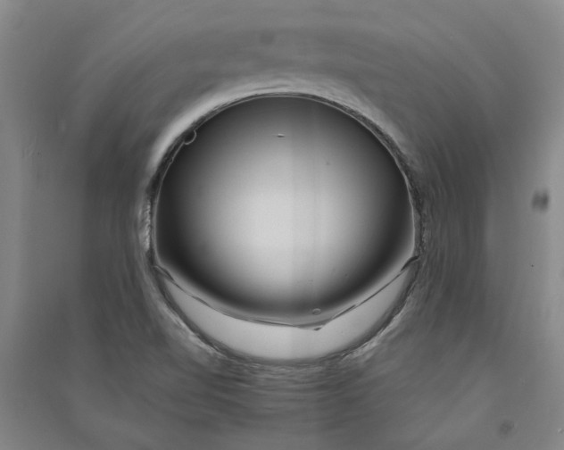X0000090861510200708171555