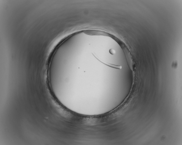 X0000090861511200708171555
