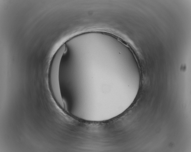 X0000090861512200708171555
