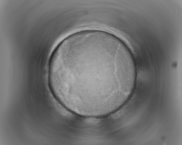 X0000090861514200708171555