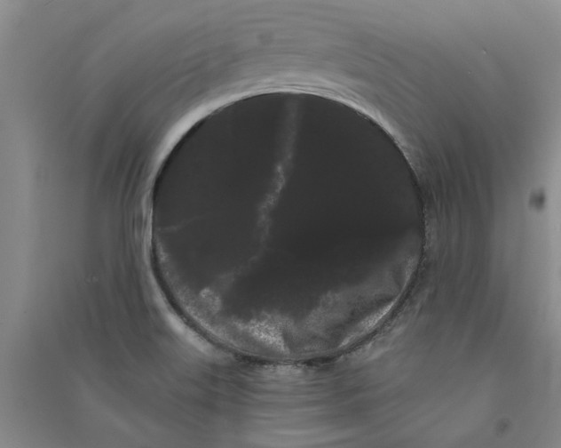X0000090861515200708171555