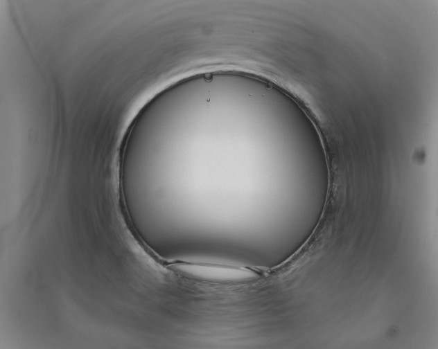 X0000090861516200708171555