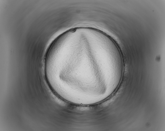 X0000090861517200708171555