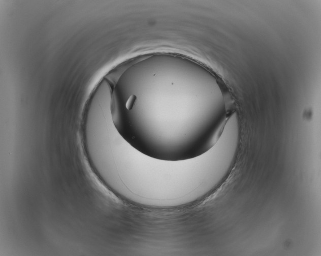 X0000090861518200708171555