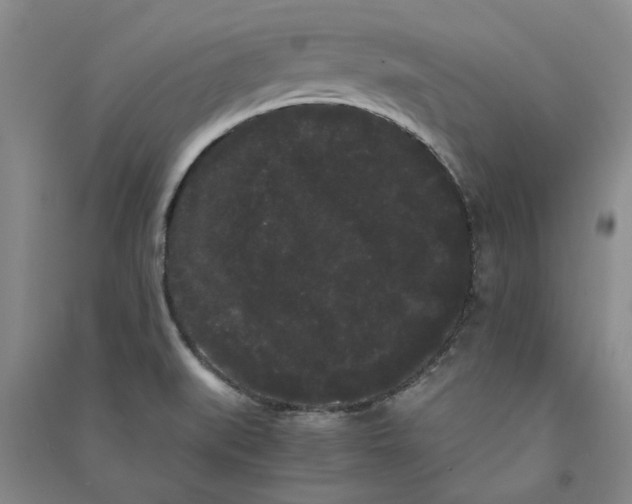 X0000090861519200708171555