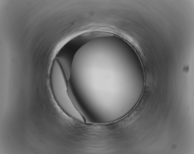 X0000090861520200708171555