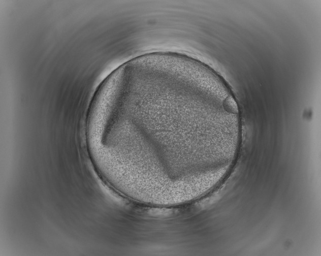 X0000090861521200708171555