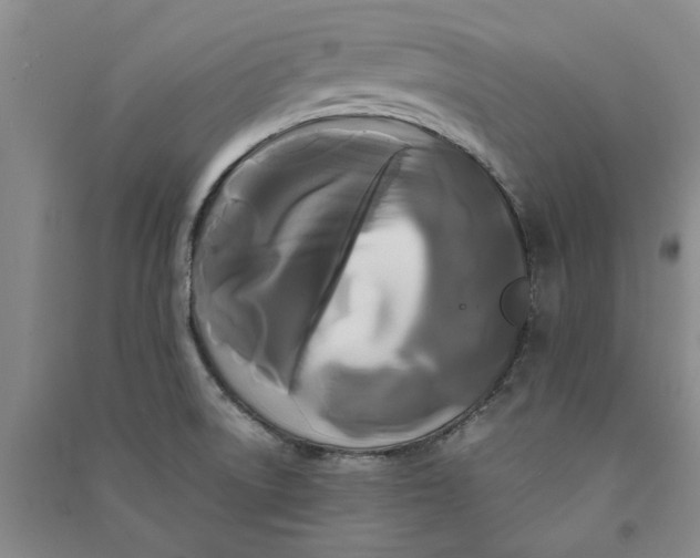 X0000090861522200708171555