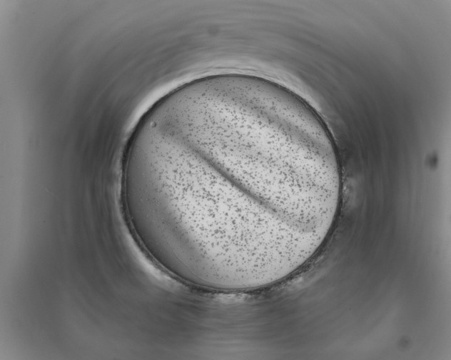 X0000090861523200708171555