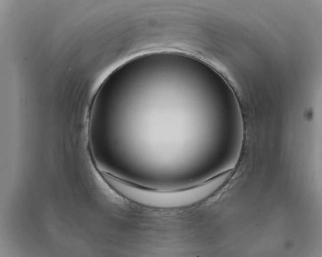 X0000090861524200708171555