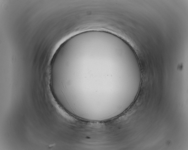 X0000090861526200708171555