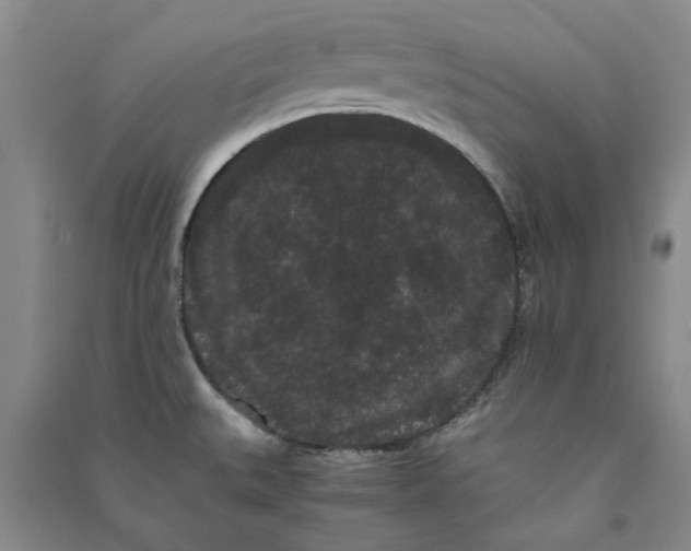 X0000090861527200708171555