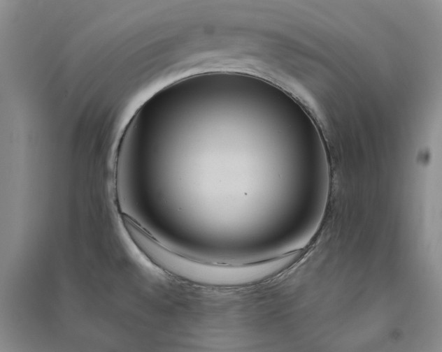 X0000090861528200708171555