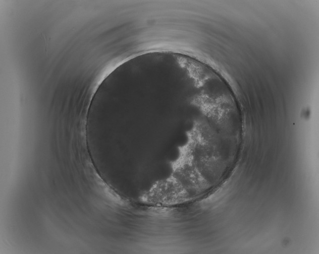 X0000090861529200708171555