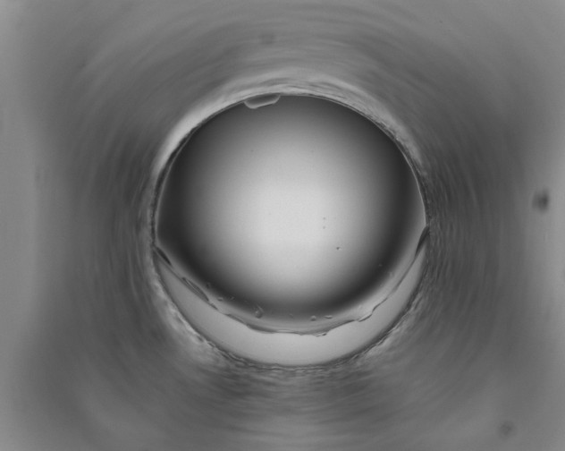 X0000090861530200708171555