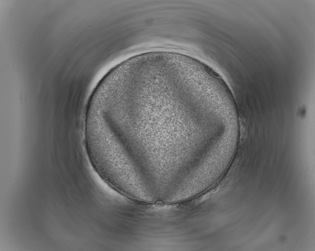 X0000090861531200708171555
