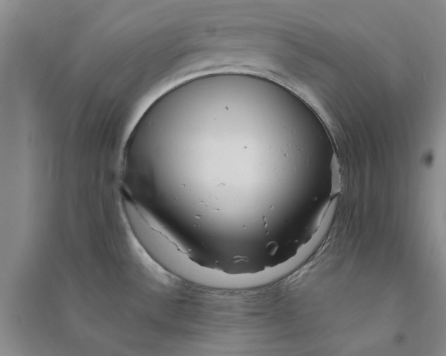 X0000090861532200708171555