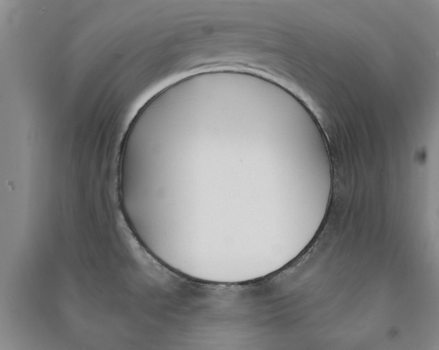 X0000090861534200708171555