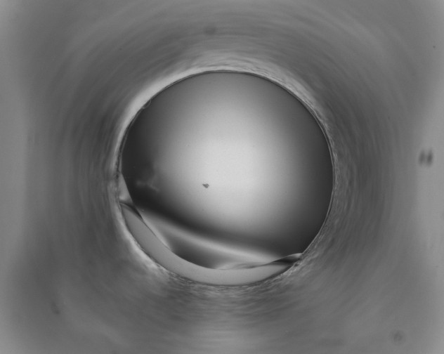 X0000090861536200708171555