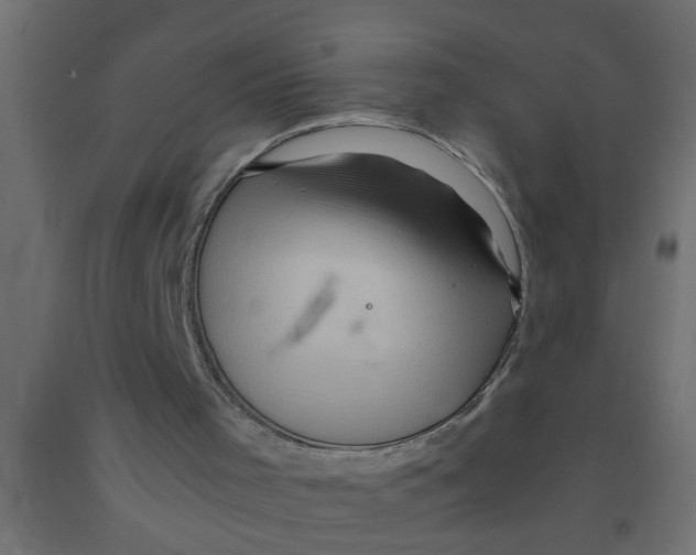 X0000090860001200708241909