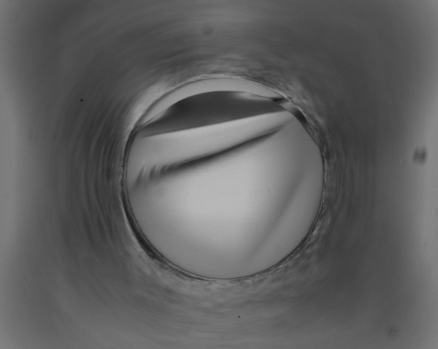 X0000090860003200708241909