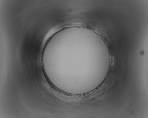 X0000090860004200708241909