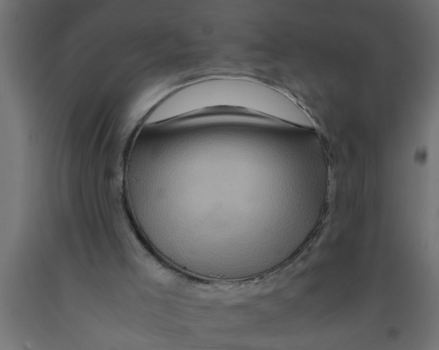 X0000090860005200708241909