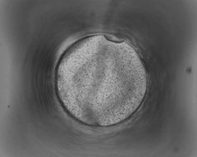 X0000090860006200708241909